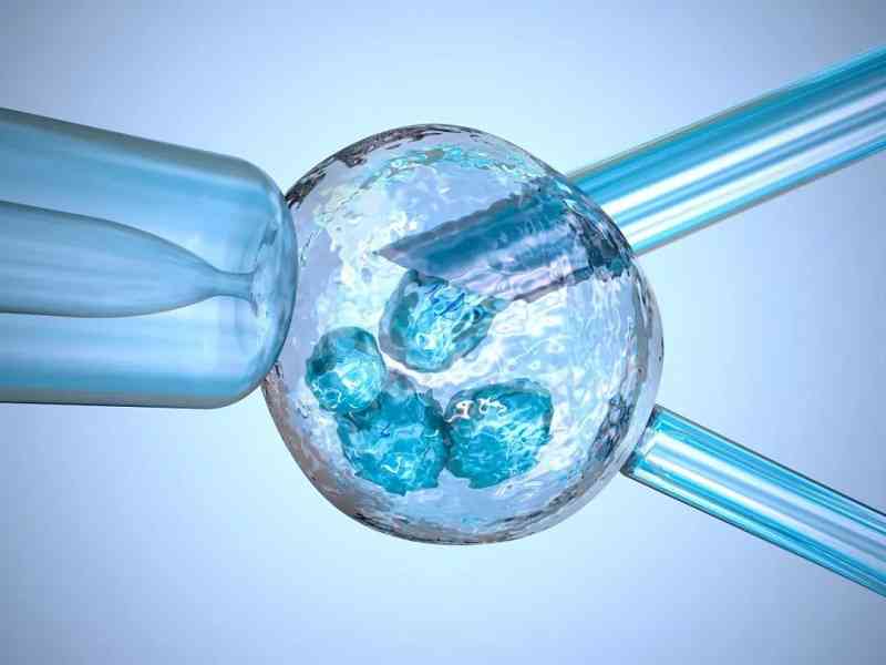 如何做能够降低胚胎碎片率？