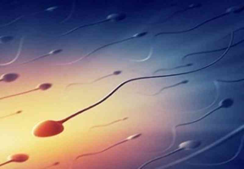 卵巢早衰精子畸形能不能做试管婴儿？