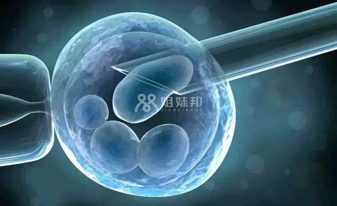 广州人工授精的医院排名榜最新？