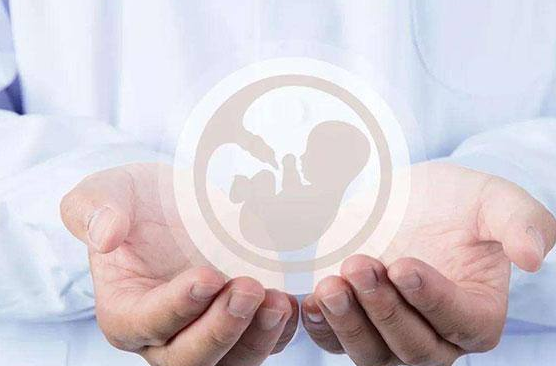 男女胚胎的形成取决于精子和卵子的结合