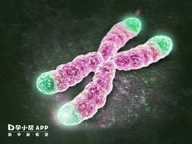 16号染色体数目异常不可做二代试管