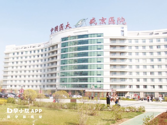 沈阳盛京医院滑翔院区可以做试管婴儿
